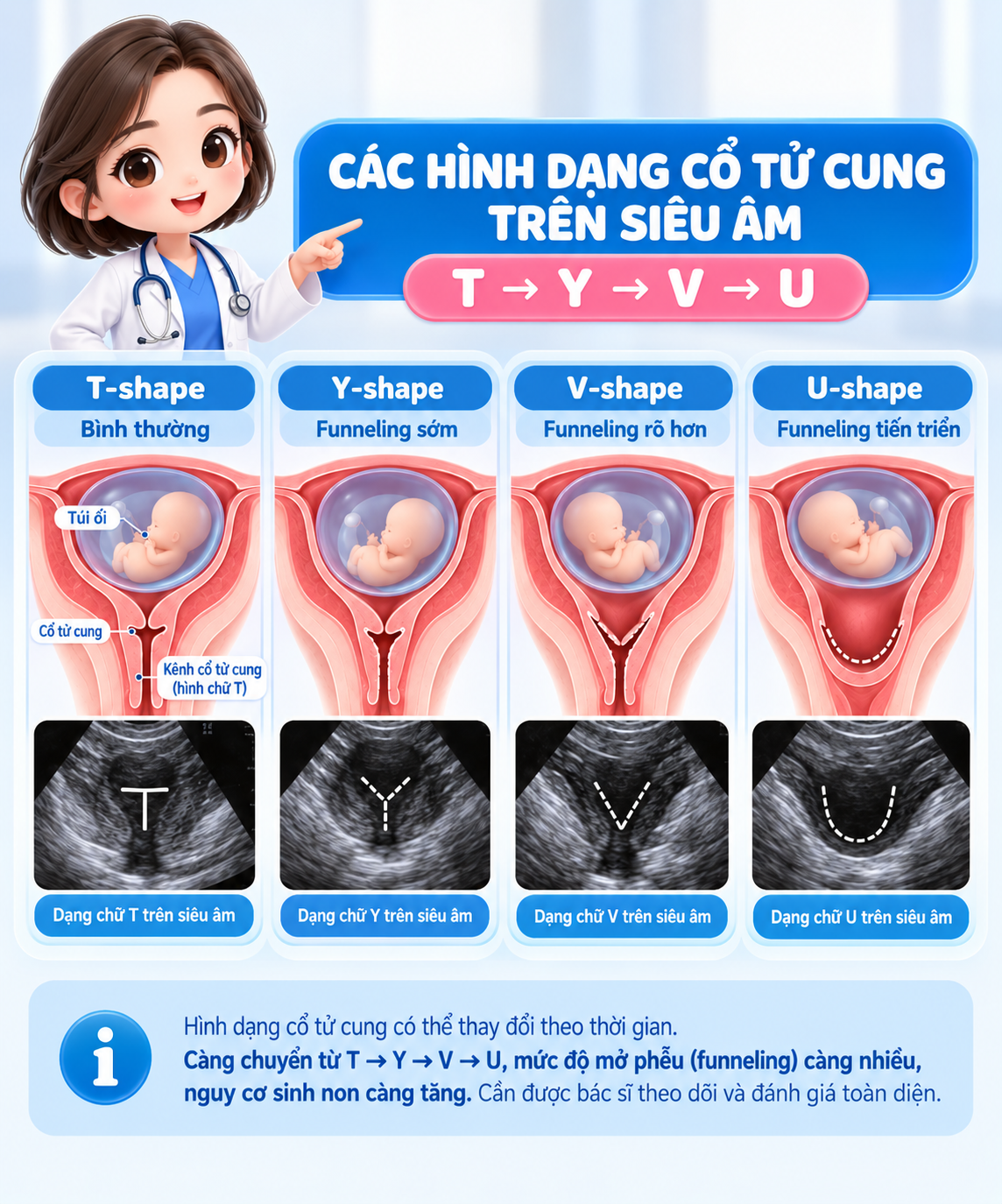Hình dạng cổ tử cung